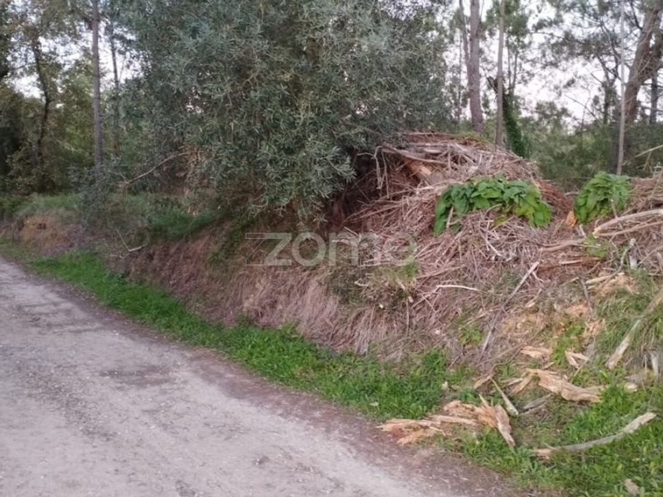 Helårsgrund i Vila Nova de Ancos, Coimbra - foto 5