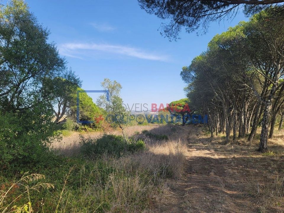Helårsgrund i Sintra, Lisbon - foto 1