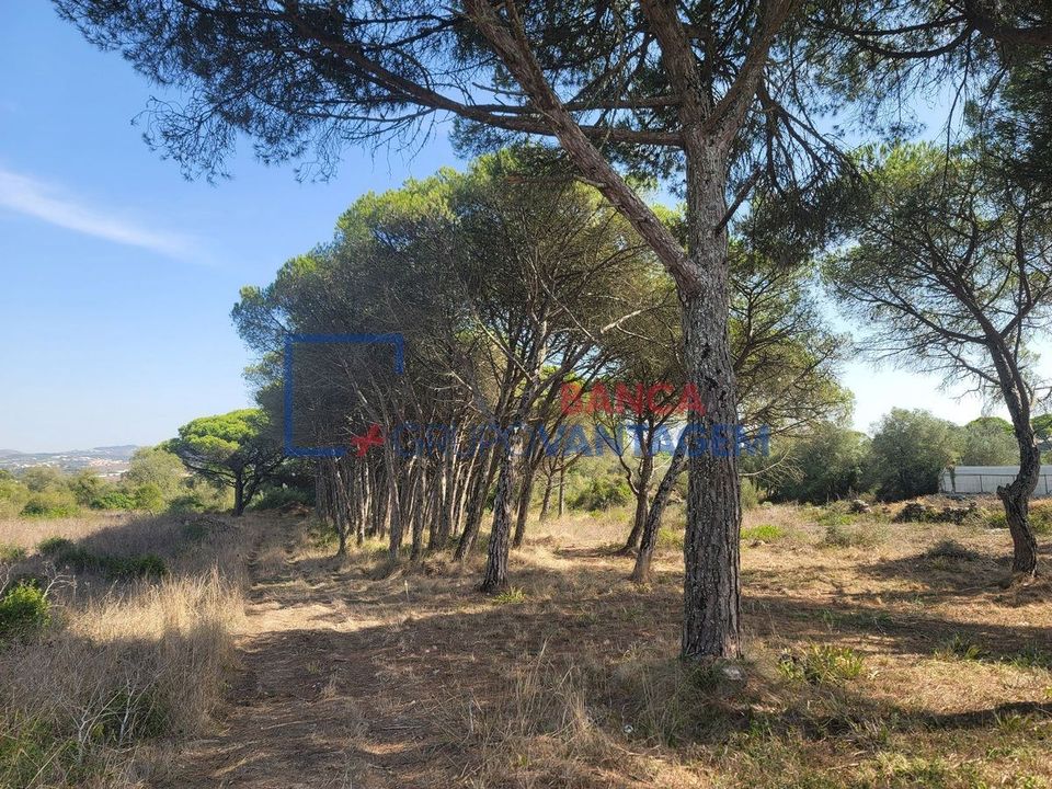 Helårsgrund i Sintra, Lisbon - foto 2