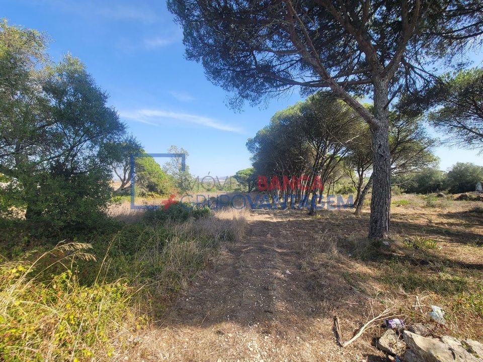 Helårsgrund i Sintra, Lisbon - foto 5