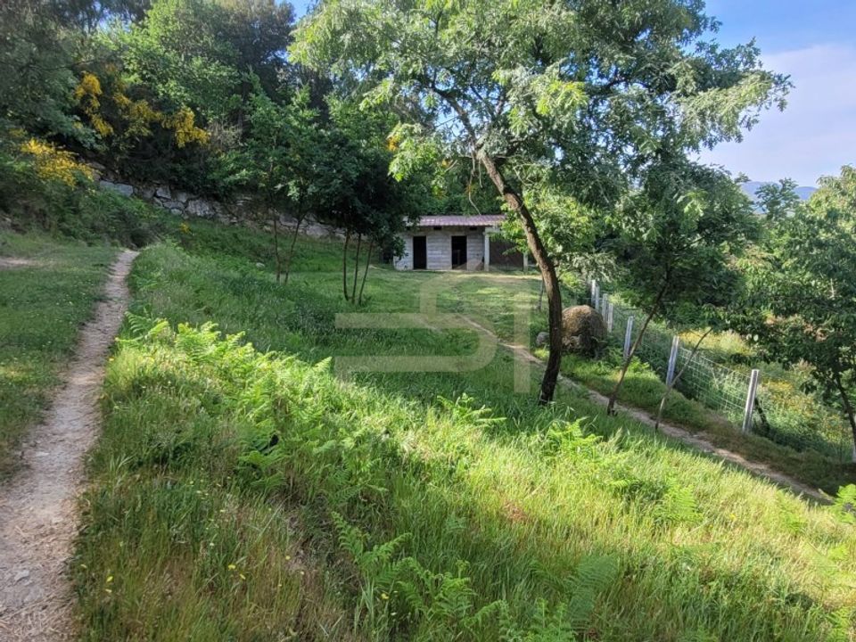 Villa i Loivos da Ribeira e Tresouras, Porto - foto 4