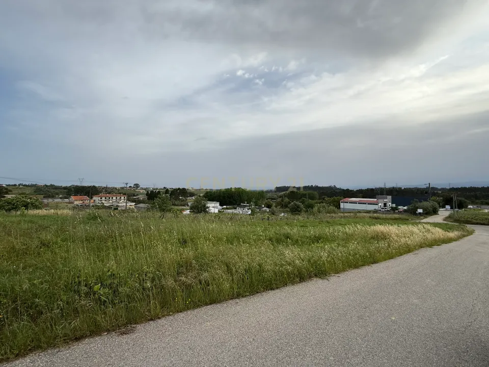 Helårsgrund i Anadia, Aveiro - foto 2