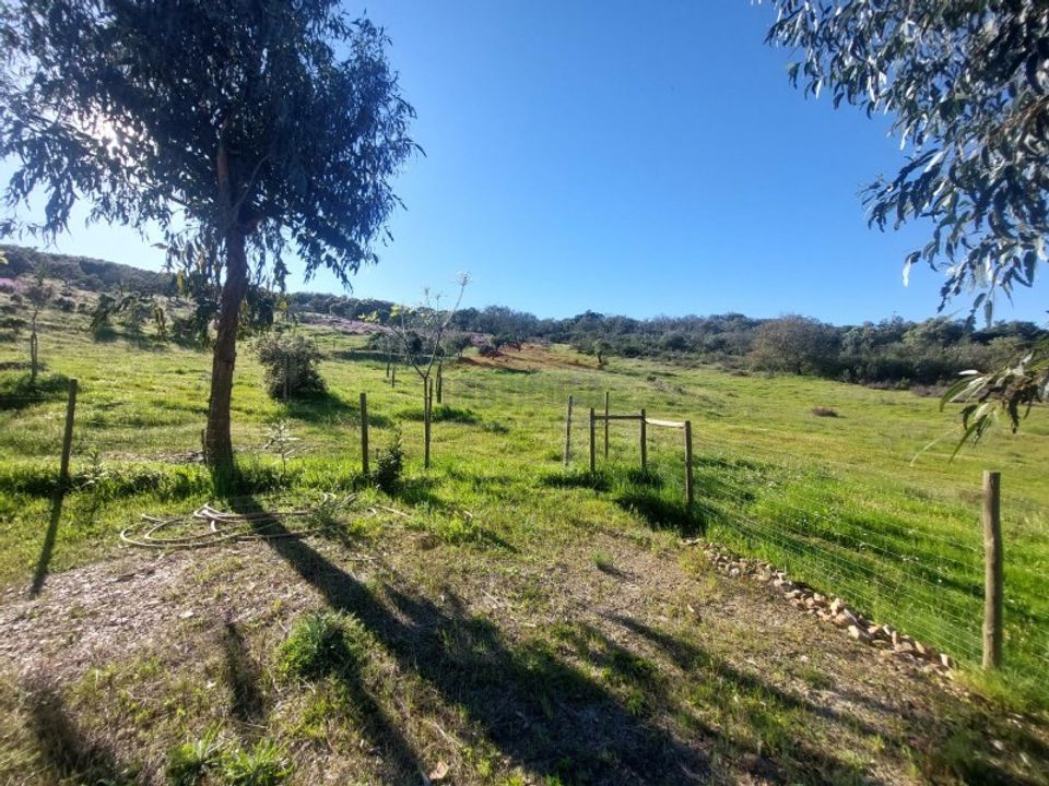 Landejendom i Alandroal, Evora - foto 2