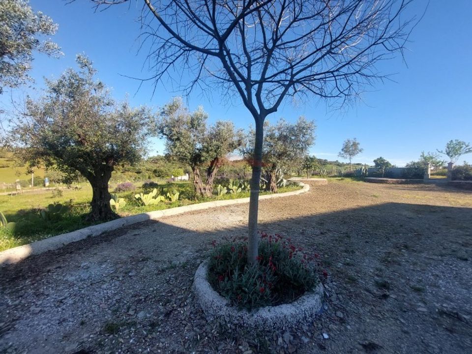 Landejendom i Alandroal, Evora - foto 1