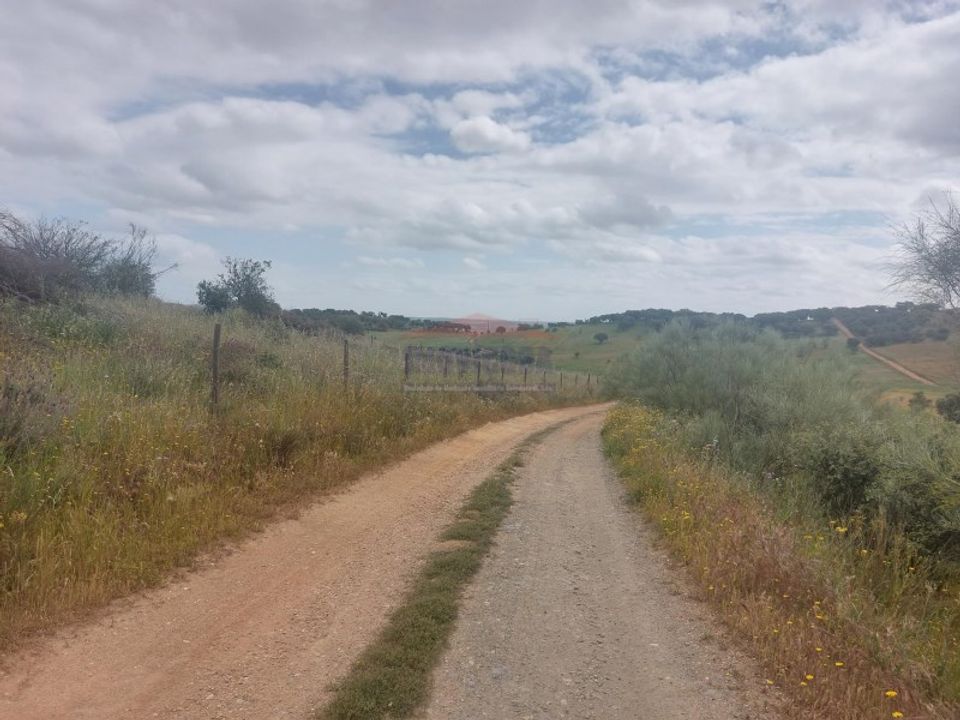 Landejendom i Alandroal, Evora - foto 3
