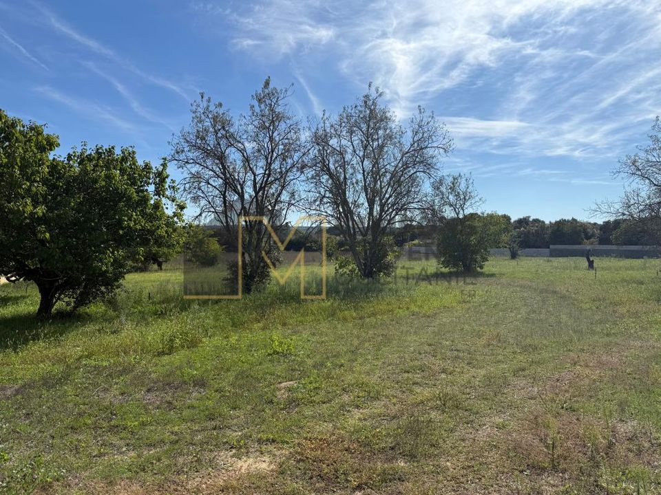Land in Saint-Quentin-la-Poterie, Gard - photo 4