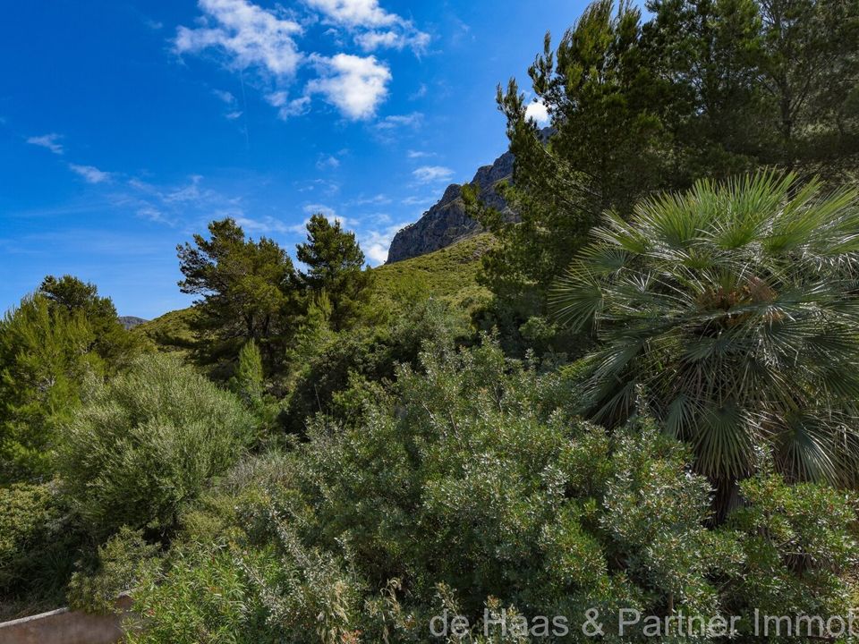Helårsgrund i Colonia De Sant Pere, Mallorca - foto 4