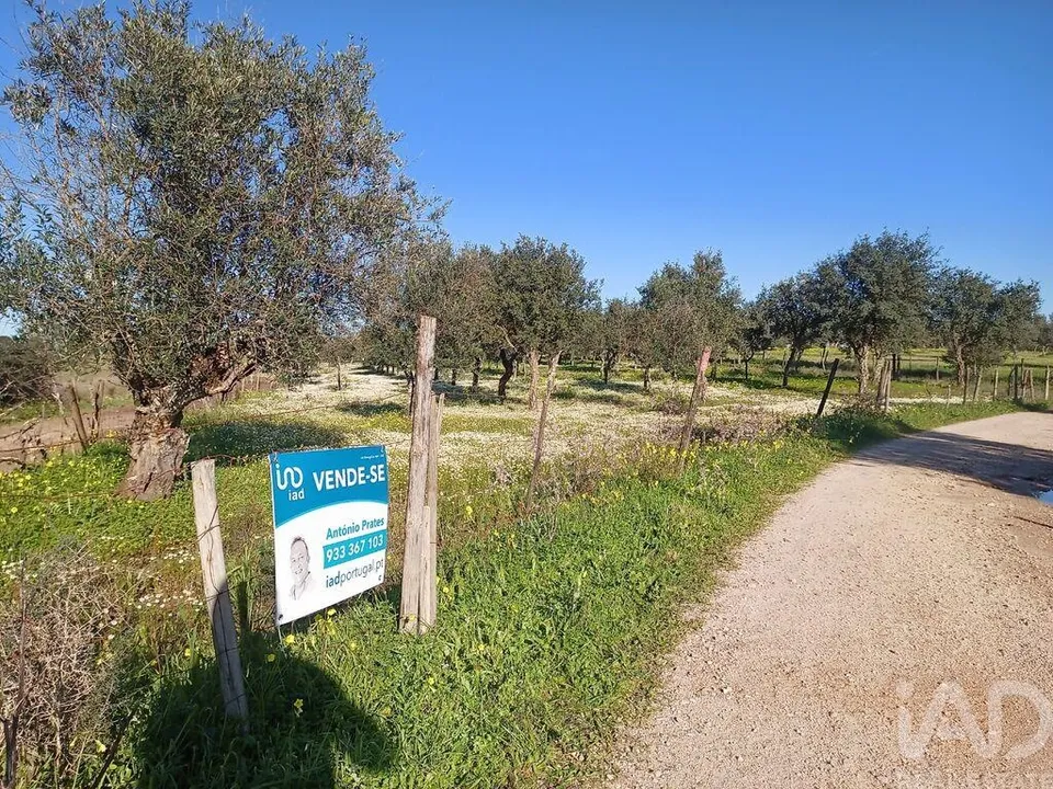 Terreno en Ponte de Sor, Portalegre - foto 1