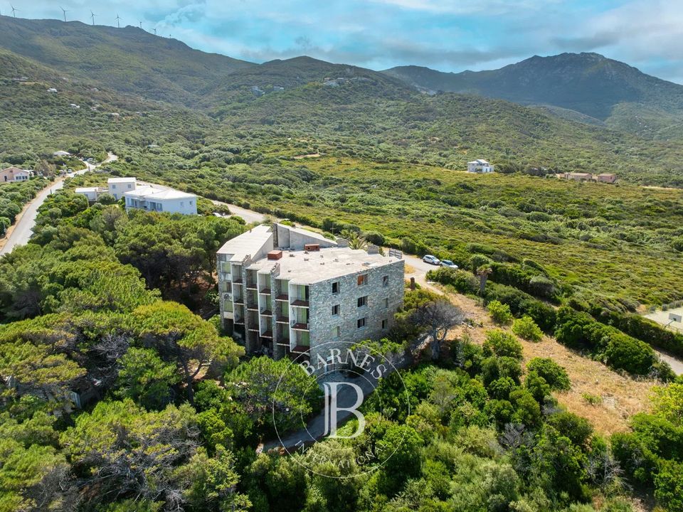 Herregård i Centuri, Haute-Corse - bilde 3