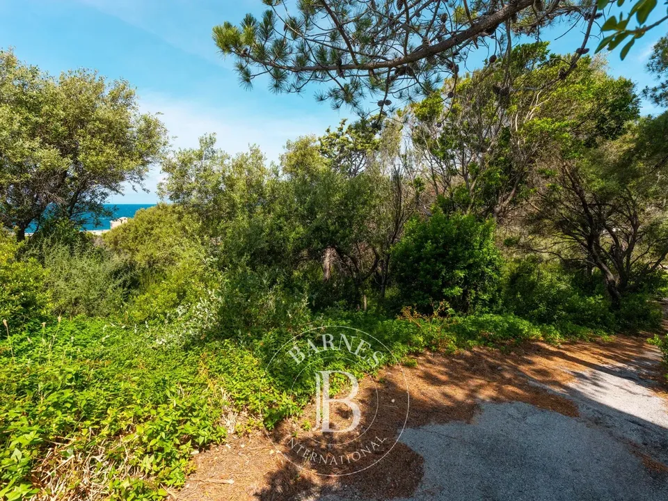 Tomt i Centuri, Haute-Corse - bilde 2