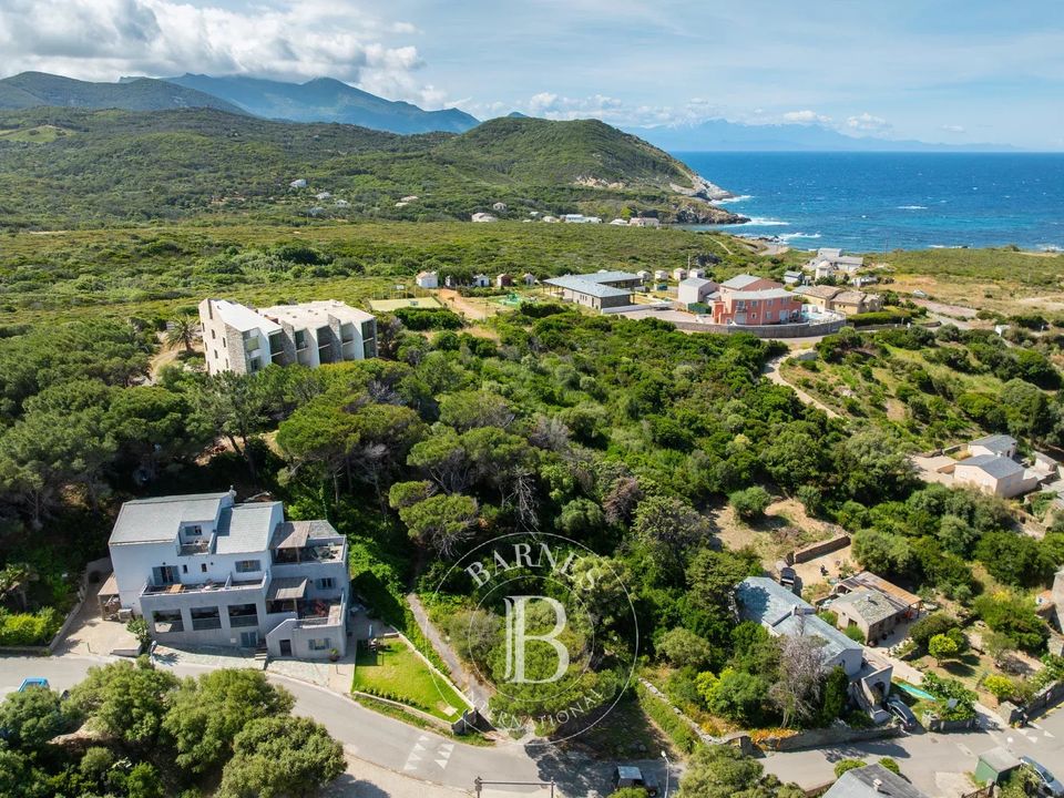 Tomt i Centuri, Haute-Corse - bilde 4