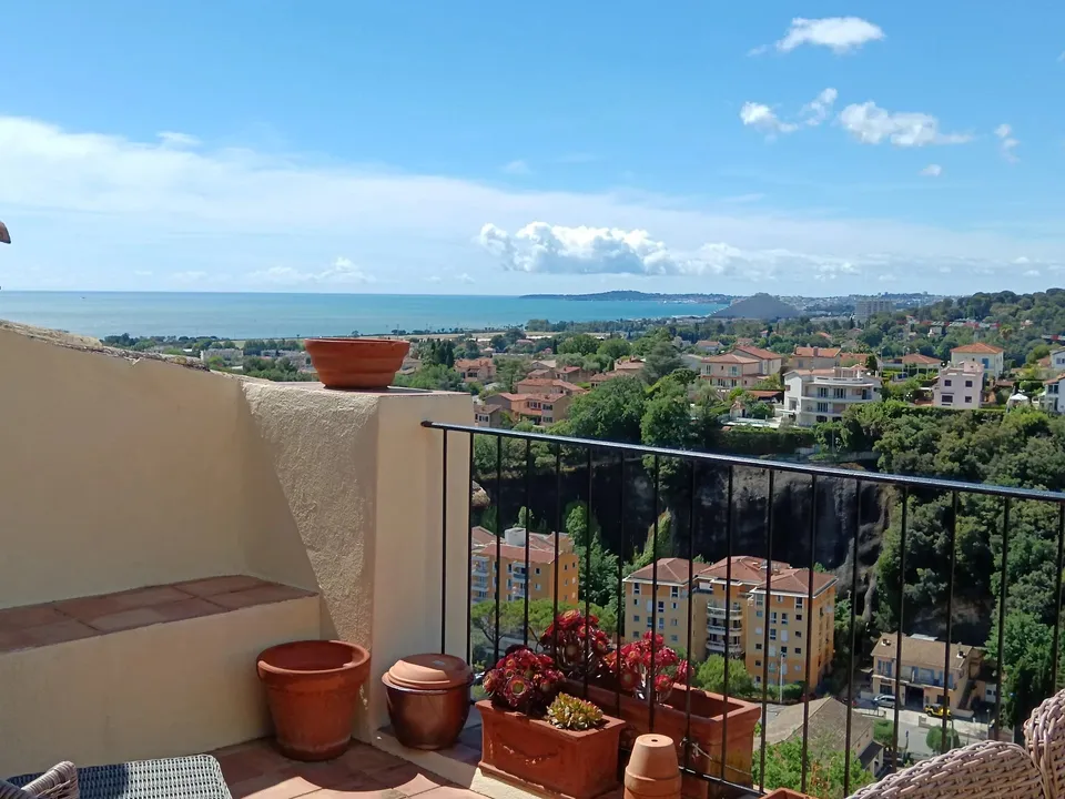 Landejendom i Cagnes-sur-Mer, Alpes-Maritimes - foto 3