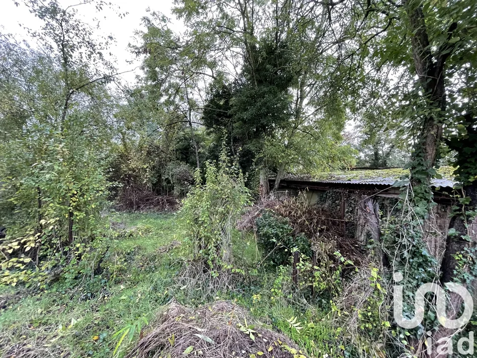 Tomt i Meaux, Seine-et-Marne - bilde 2