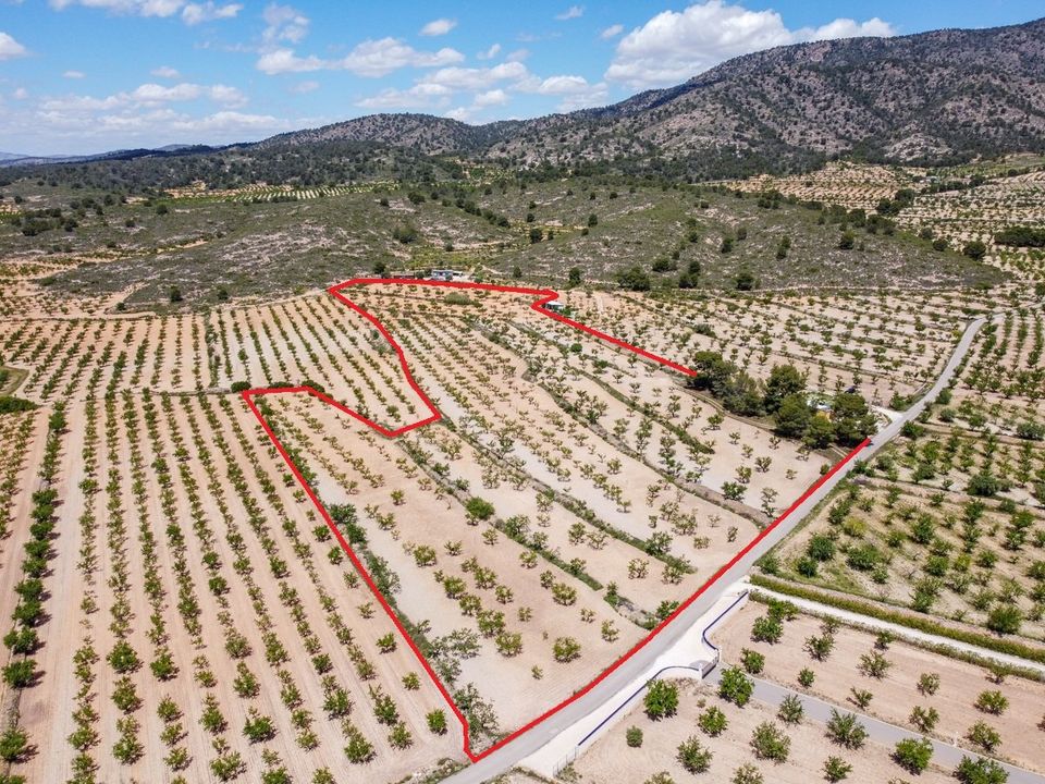 Helårsgrund i Pinoso, Alicante - foto 1