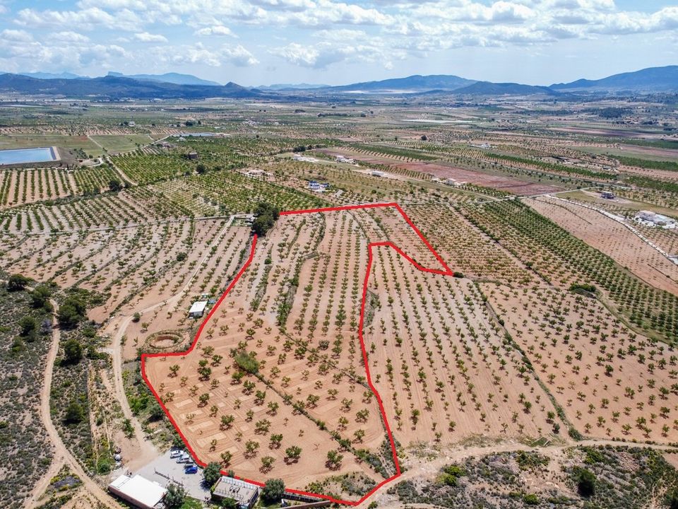 Helårsgrund i Pinoso, Alicante - foto 3