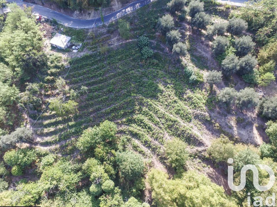 Terra a Sainte-Agnes, Alpes-Maritimes - foto 1