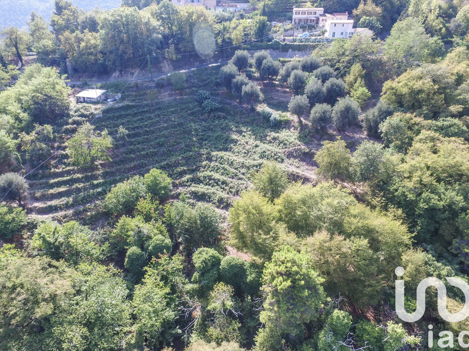 Terra a Sainte-Agnes, Alpes-Maritimes - foto 2