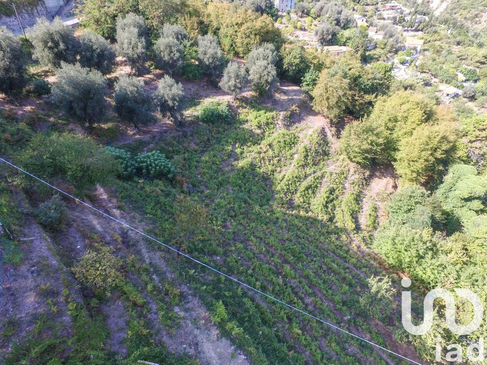 Terra a Sainte-Agnes, Alpes-Maritimes - foto 3
