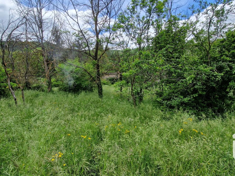 Helårsgrund i Riez, Alpes-de-Haute-Provence - foto 3