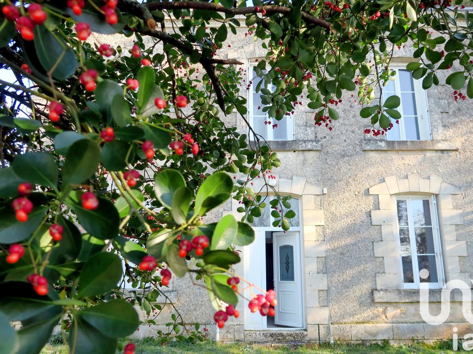 Villa i Angles-sur-l'Anglin, Vienne - bilde 1