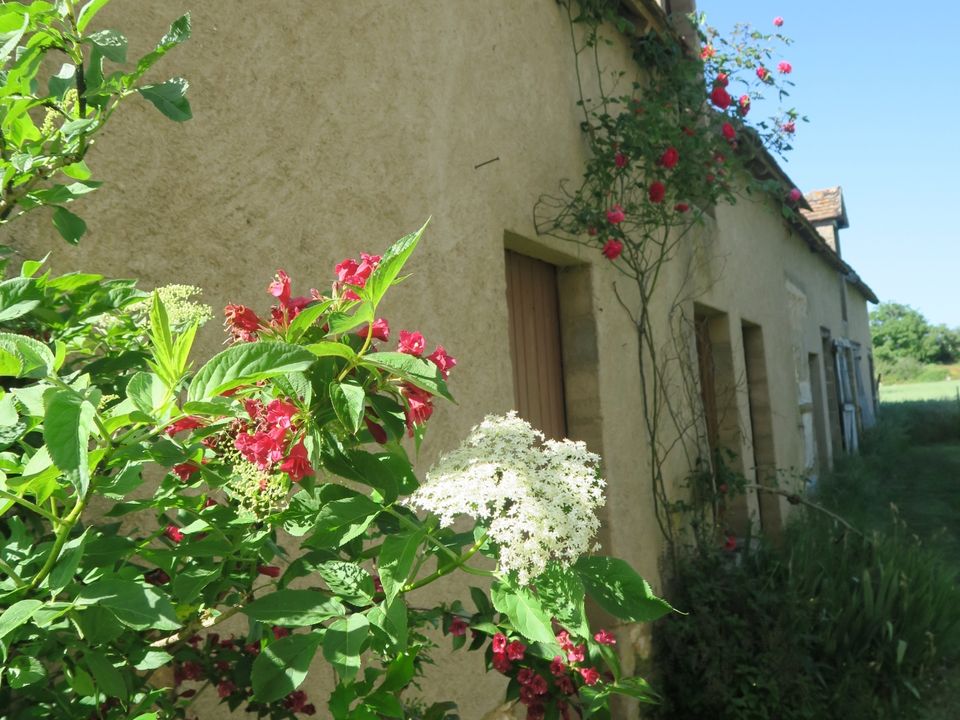 Villa i Angles-sur-l'Anglin, Vienne - bilde 4