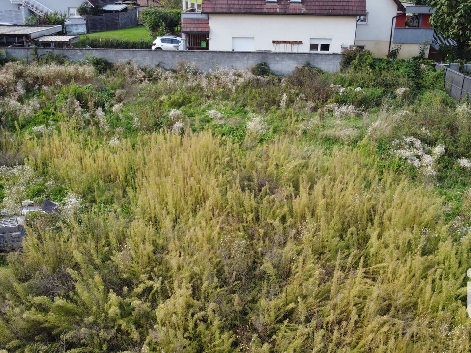 Helårsgrund i Retzwiller, Haut-Rhin - foto 2