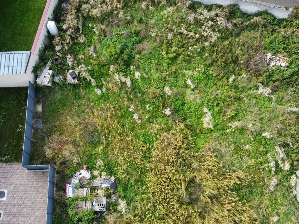 Helårsgrund i Retzwiller, Haut-Rhin - foto 3