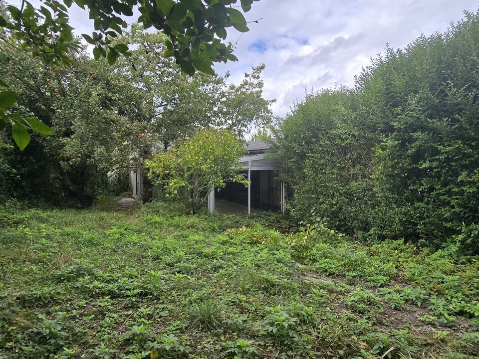 Villa i Bruyères-le-Châtel, Essonne - foto 2