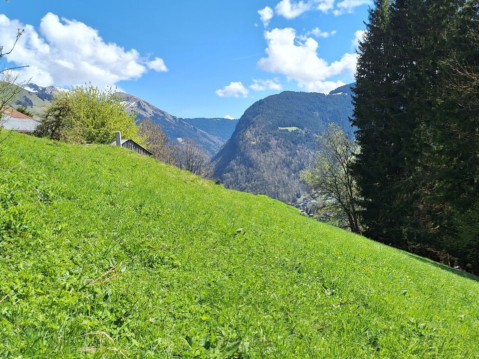 Helårsgrund i La Cote-d'Arbroz, Haute-Savoie - foto 1