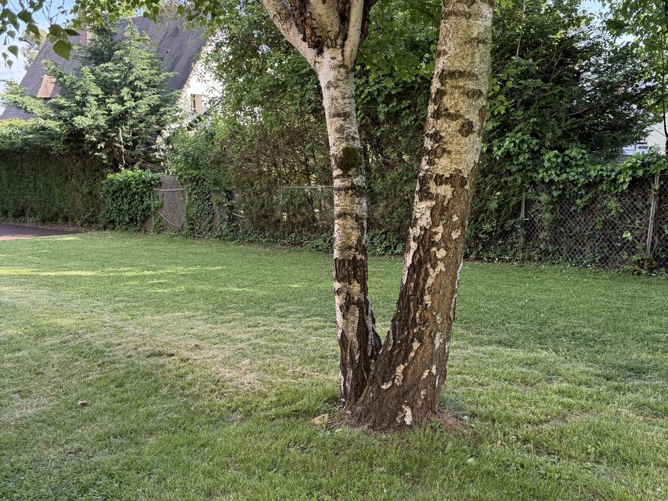 Lejlighed i Garches, Hauts-de-Seine - foto 2