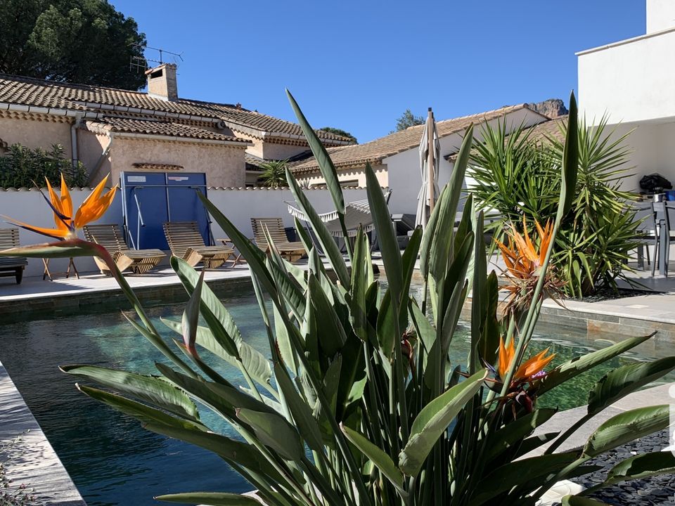 Villa i Roquebrune-sur-Argens, Var - foto 4