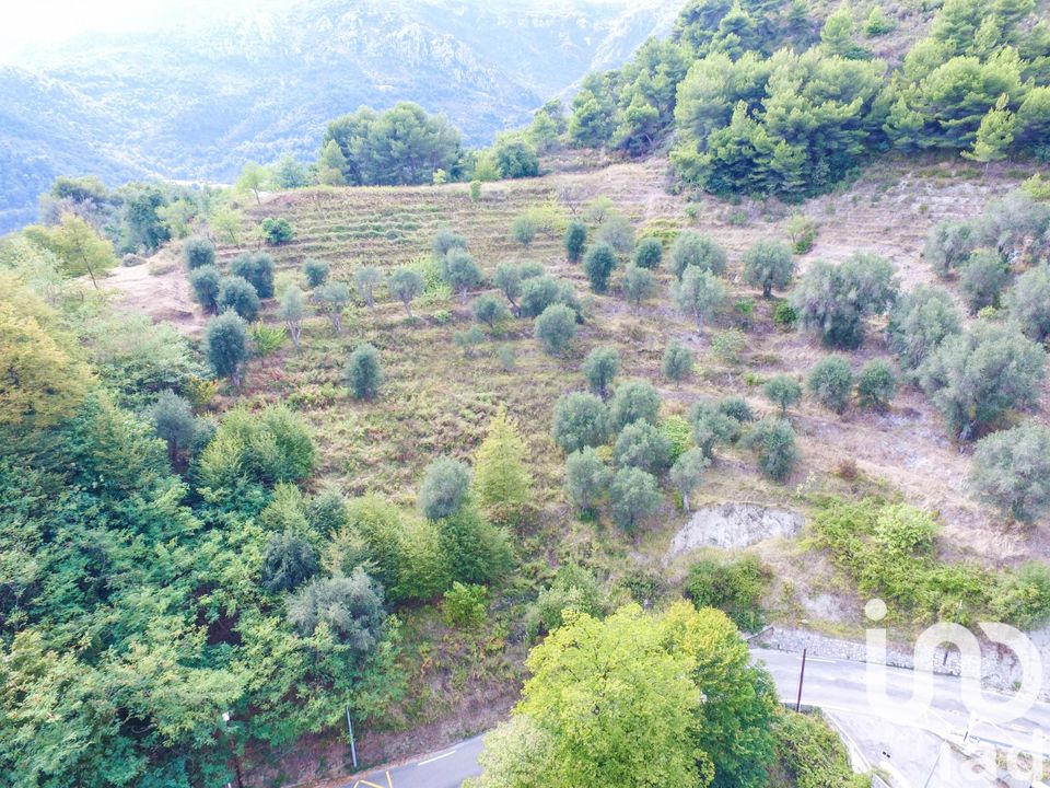 Tomt i Sainte-Agnes, Alpes-Maritimes - bilde 2