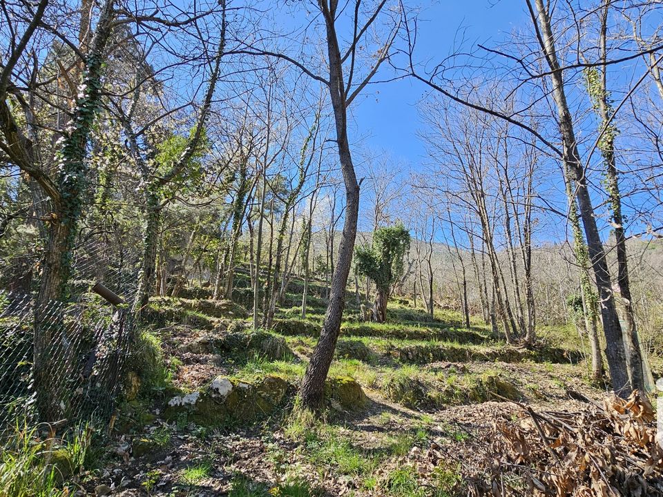 Helårsgrund i Coaraze, Alpes-Maritimes - foto 2