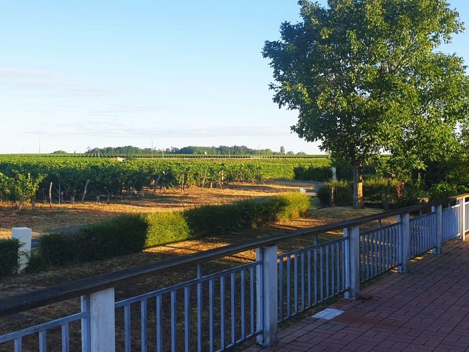 Villa i Puisseguin, Gironde - foto 5