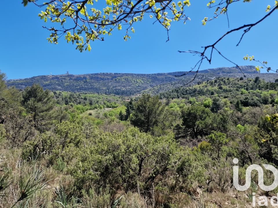 Villa a Plan-d'Aups-Sainte-Baume, Var - foto 3