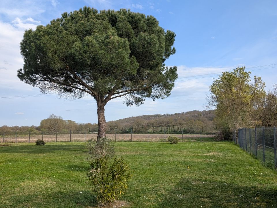 Villa i Bragayrac, Haute-Garonne - foto 3