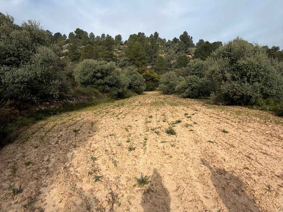 Helårsgrund i Asco, Tarragona - foto 4
