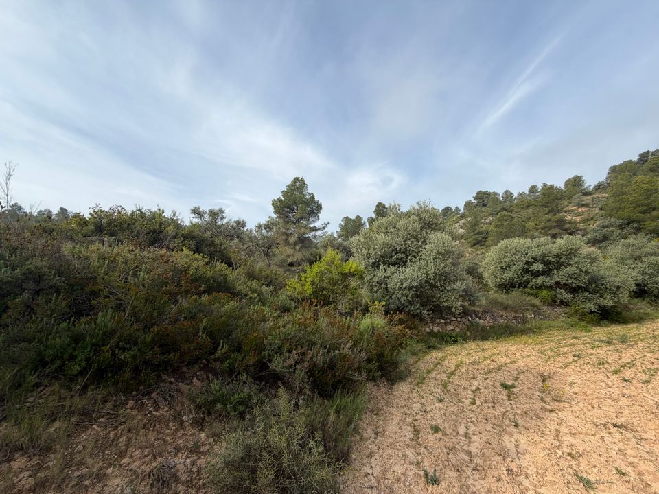 Helårsgrund i Asco, Tarragona - foto 3