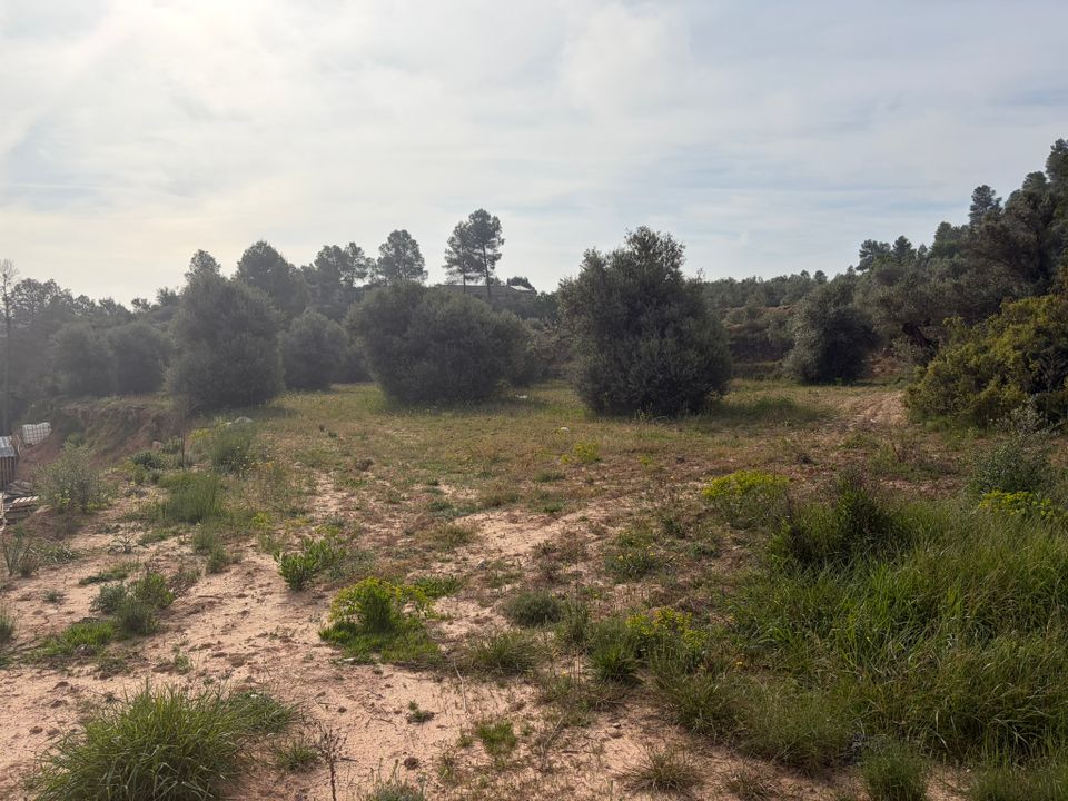 Helårsgrund i Asco, Tarragona - foto 1