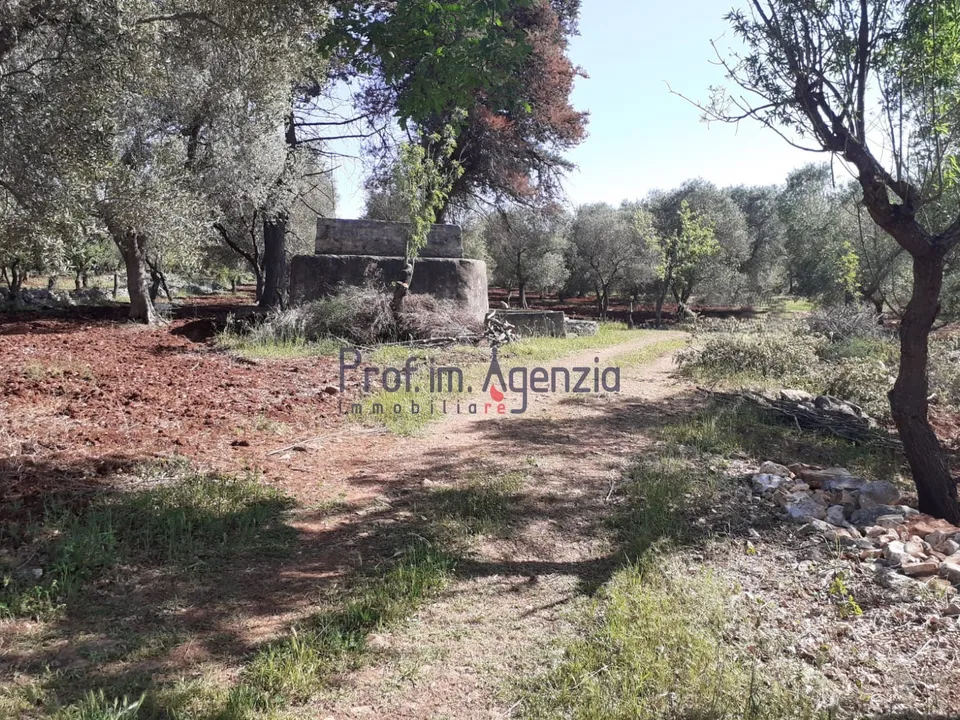 Landejendom i Ostuni, Brindisi - foto 3