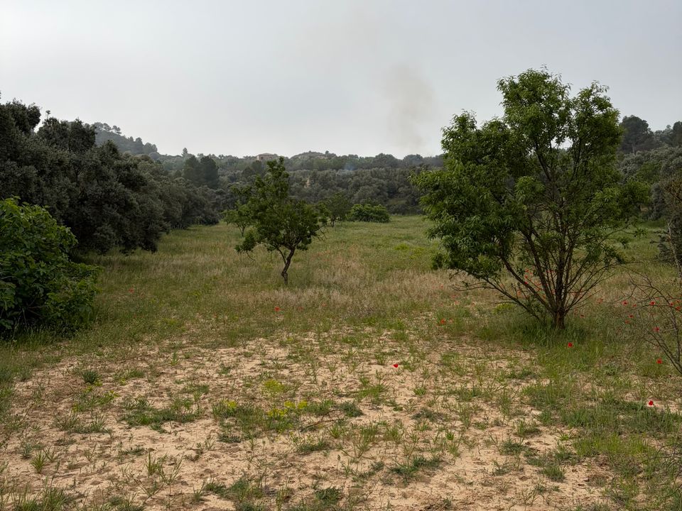 Helårsgrund i Asco, Tarragona - foto 5