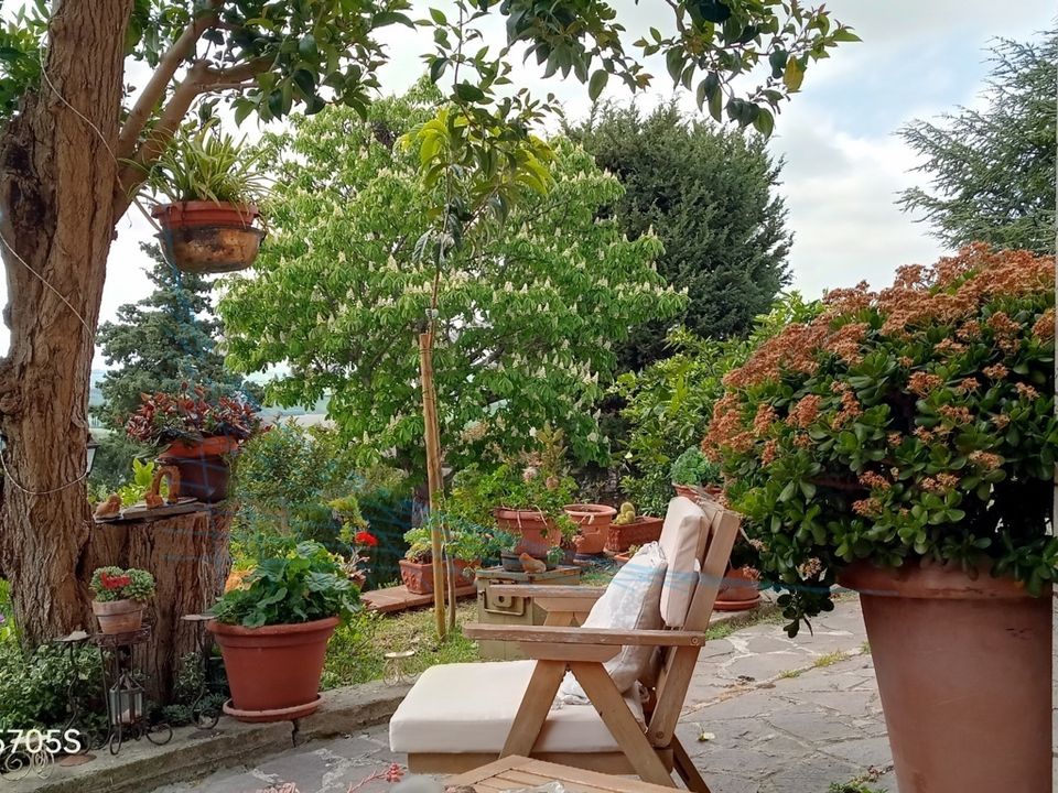 Villa i Santa Luce, Pisa - foto 1
