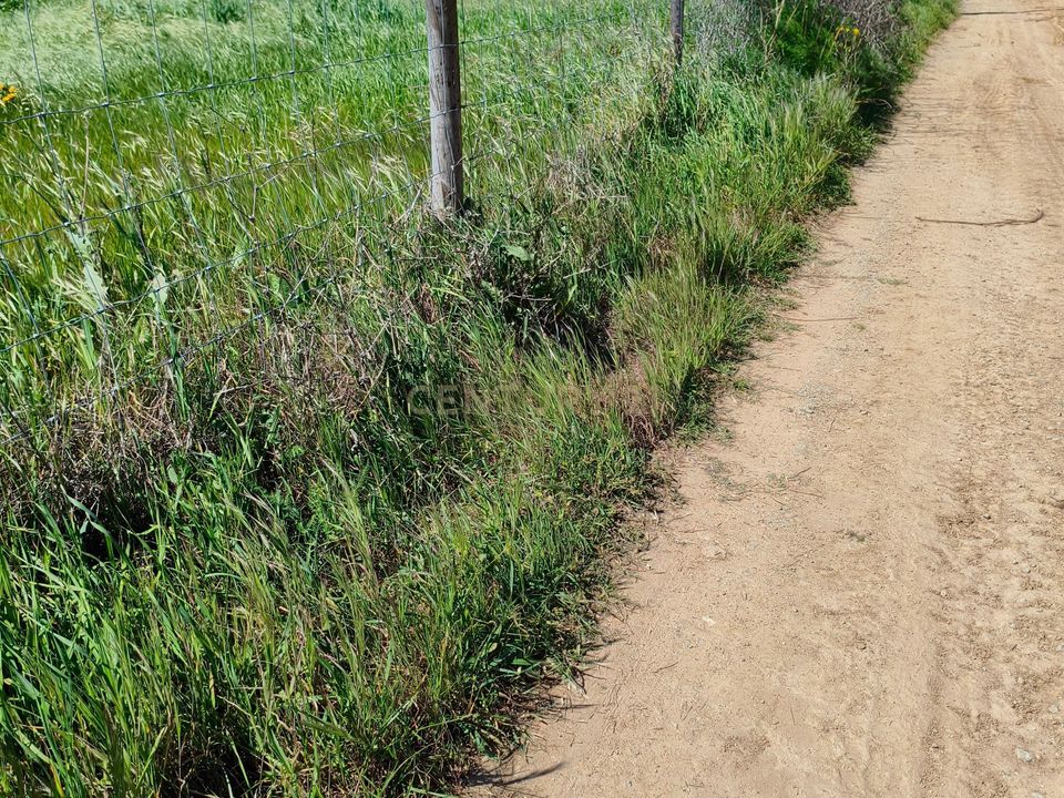 Terreno en Redondo, Evora - foto 1