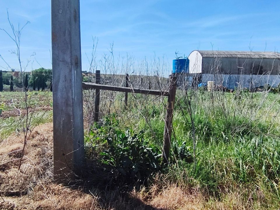 Terreno en Redondo, Evora - foto 3