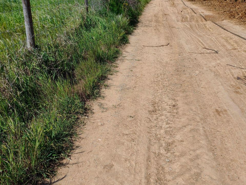 Terreno en Redondo, Evora - foto 5