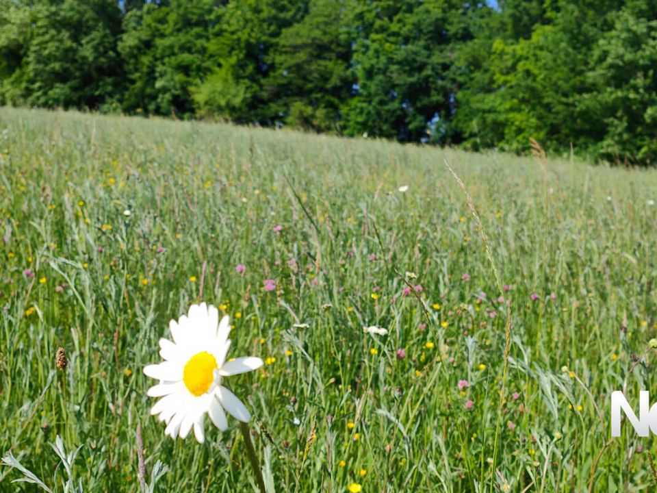 Tomt i Tulle, Correze - bilde 1