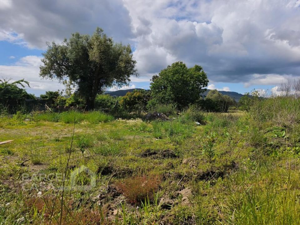 Helårsgrund i Barcelos, Braga - foto 2