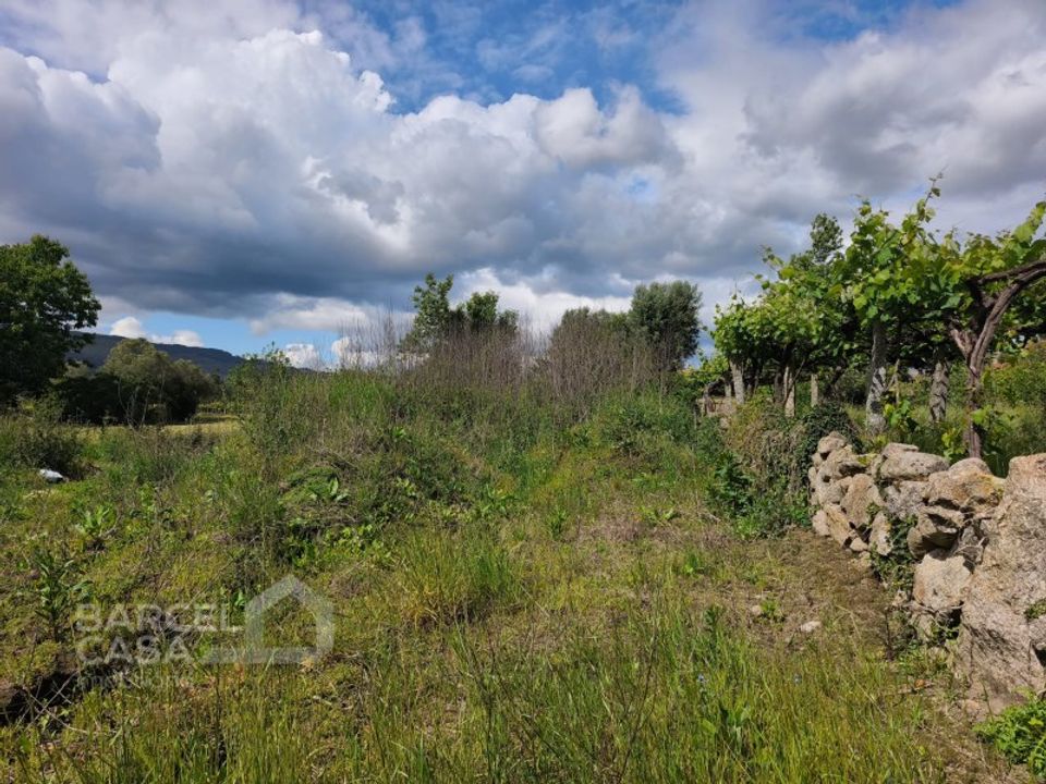 Helårsgrund i Barcelos, Braga - foto 3