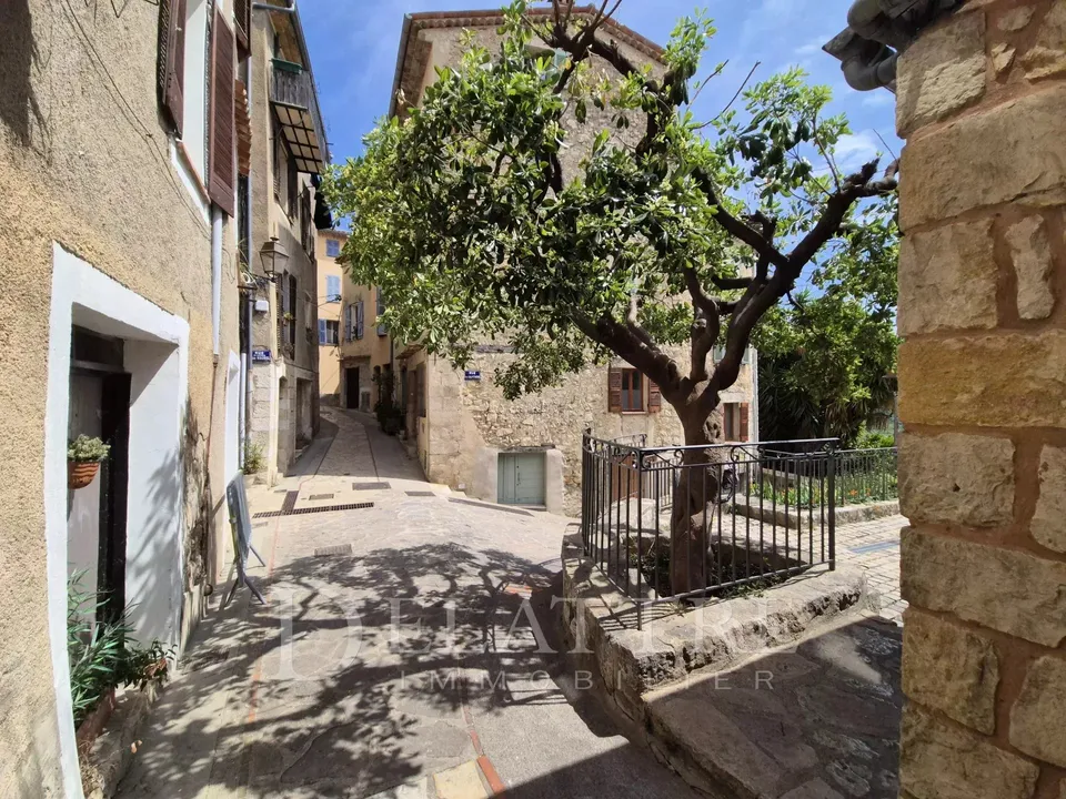 Landhuis in Le Bar-sur-Loup, Alpes-Maritimes - foto 2