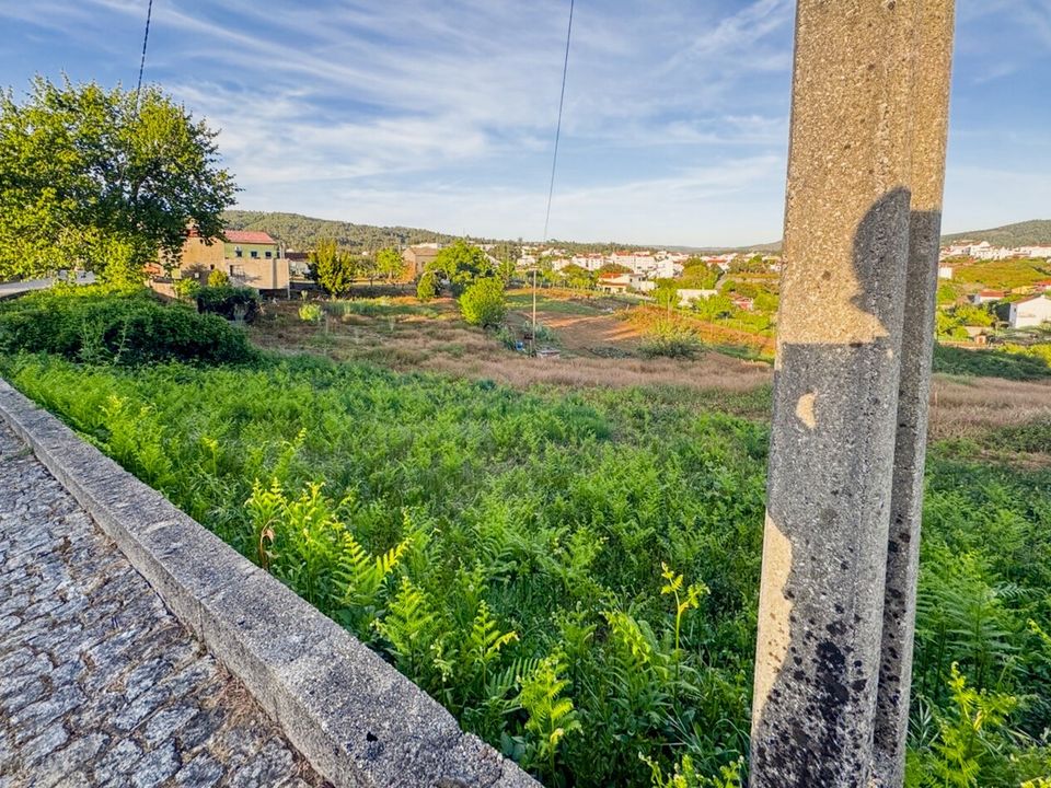 Tomt i Oleiros, Castelo Branco - bilde 5